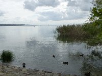 P1070223