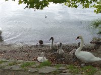 P1070224