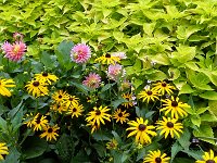 P1070231