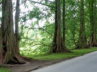 P1070235