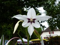 P1070253