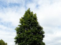 P1070286